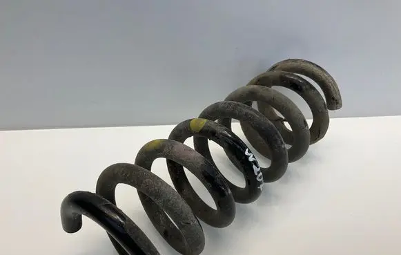 Rear coil spring