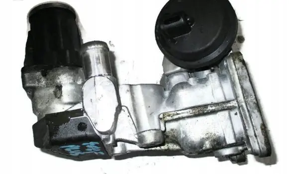 Volkswagen Golf Plus EGR valve