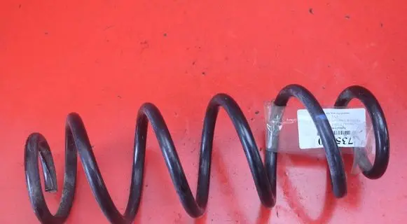 Rear coil spring