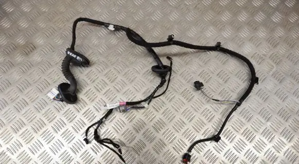 Tesla Model 3 Rear door wiring loom 206796600B
