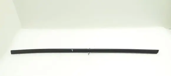 BMW Z4 E89 Front door glass trim molding 7046106