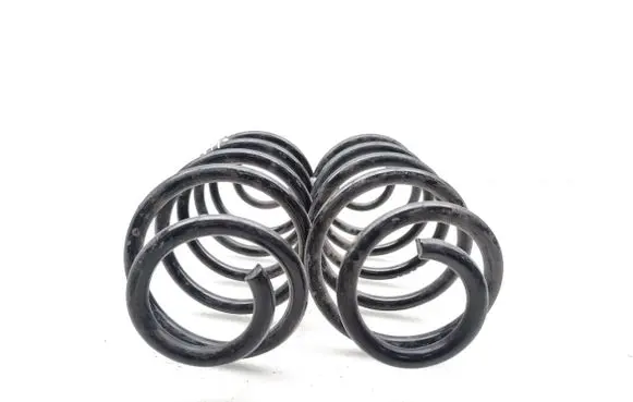 Ford Puma Rear coil spring L1TC5560BEA