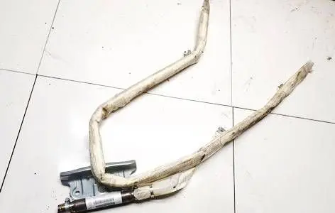 Roof airbag