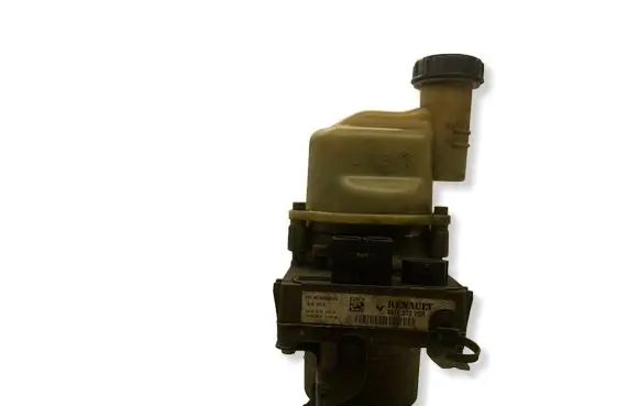 Dacia Duster Power steering pump 491107326R