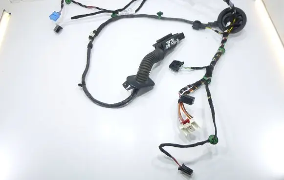 Volkswagen PASSAT B8 Front door wiring loom 3G1971120DH
