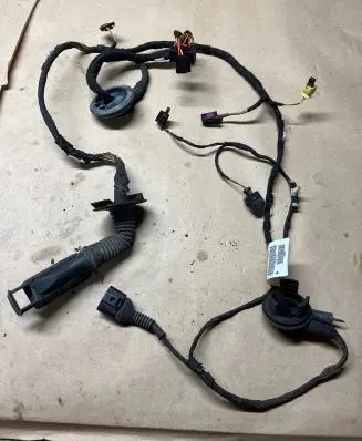 Front door wiring loom