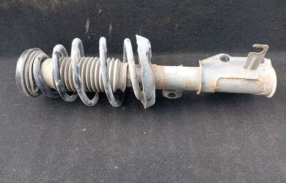 Opel Insignia A Front shock absorber with coil spring
