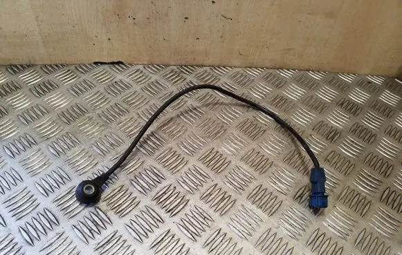 Audi 100 S4 C4 Detonation knock sensor 054905377G