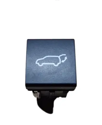 Toyota RAV 4 (XA50) Tailgate opening switch F6961L032