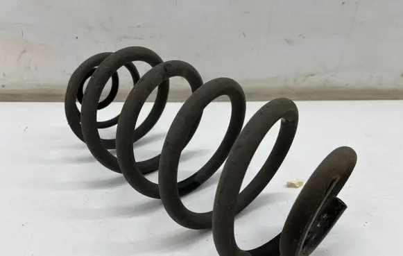 Rear coil spring