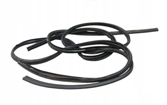 Mitsubishi Space Star Rubber seal front door (on door) 