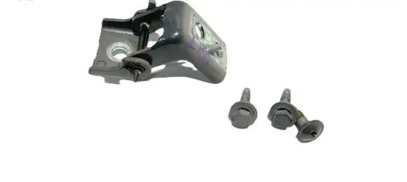 Front door lower hinge