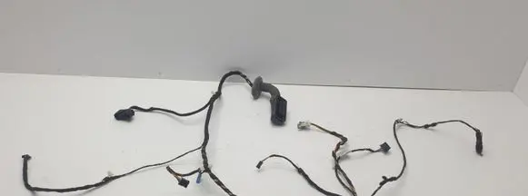 BMW 1 F20 F21 Front door wiring loom 925170902 925732