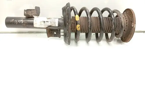 Front shock absorber with coil spring