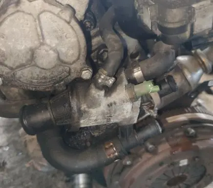 Fiat Bravo Engine coolant pipe/hose