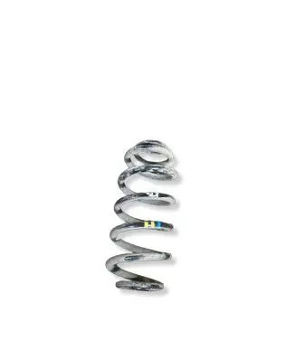 BMW X6 E71 Rear coil spring 
