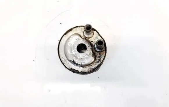 Nissan Almera N16 Engine oil radiator 