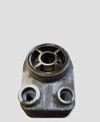 Nissan Juke I F15 Engine oil radiator 8200779744