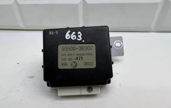 KIA Sorento Other control units/modules 955003E000