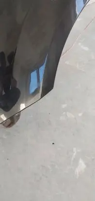 Ford Focus Fender