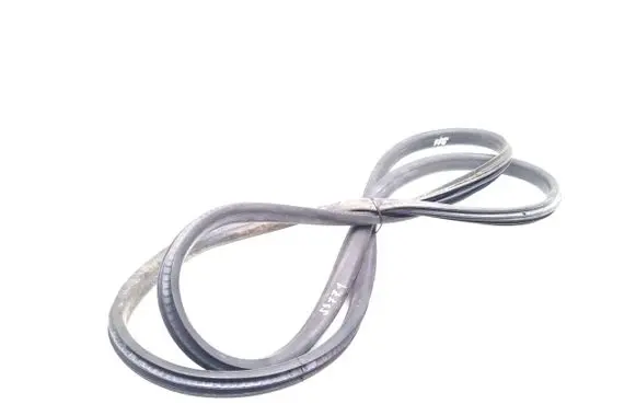 Rear door rubber seal (on body)