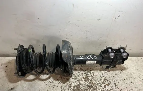 Toyota C-HR I Front shock absorber with coil spring 48510F4120 5667300523B