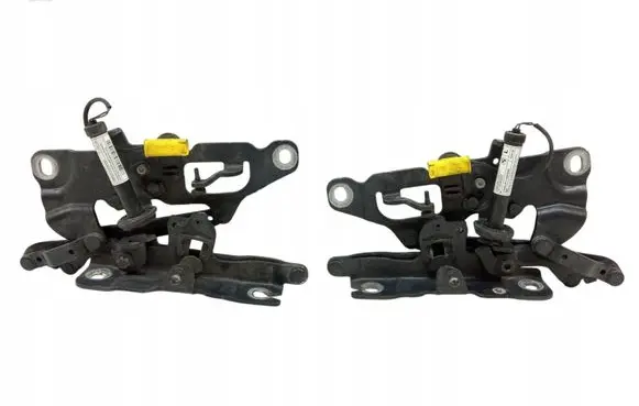 BMW 6 F06 Gran coupe Engine bonnet/hood hinges