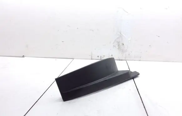 Rear/tail light trim molding