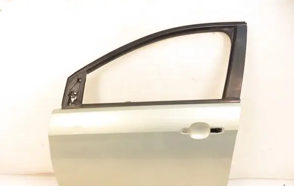 Ford Focus Front door 