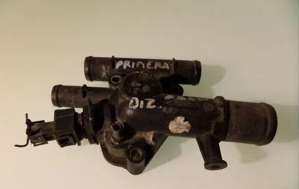 Thermostat/thermostat housing