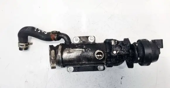 EGR valve cooler