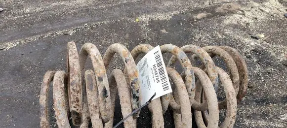 Rear coil spring