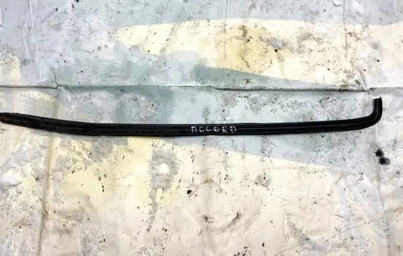 Honda Accord Rear door glass trim molding