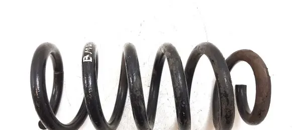 Front coil spring