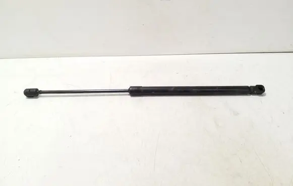 Tailgate/trunk strut/damper
