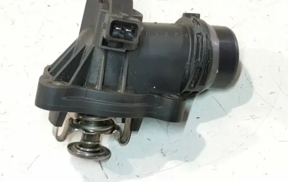 Thermostat/thermostat housing