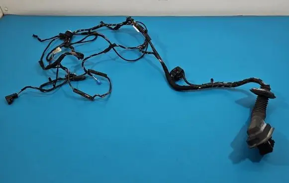 BMW X6 E71 Front door wiring loom 924207401 IMPRK1541490
