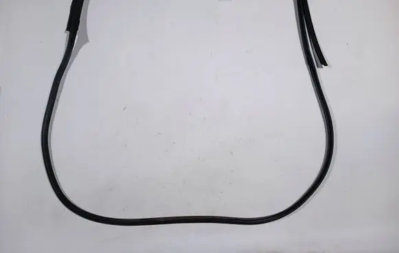 Dodge Charger Rubber seal rear door 