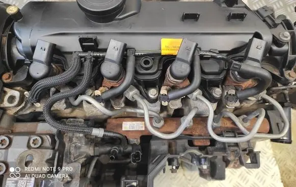 Nissan Juke I F15 Fuel injector H8200704191