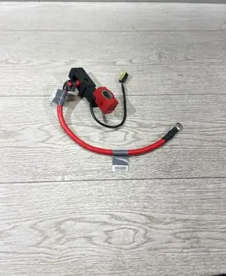 BMW 3 E90 E91 Positive cable (battery) 6938495 6938489 406579729