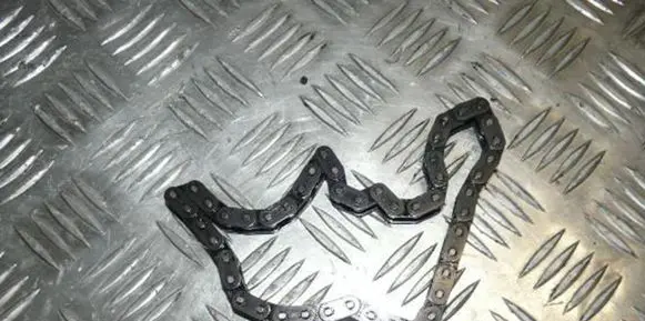 Peugeot 306 Timing chain (engine) 