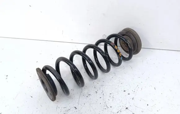 Volkswagen Tiguan Rear coil spring