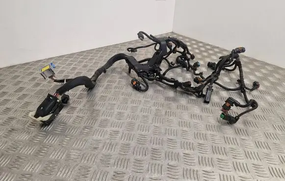 Citroen C4 II Other wiring loom 22802902 321191726 30072018