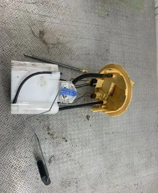 Citroen Berlingo In-tank fuel pump 9809359380 100115562AF