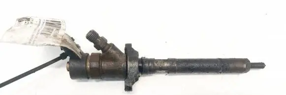 Citroen Xsara Picasso Fuel injector 0445110188 892080