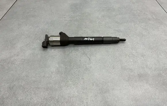 Opel Mokka Fuel injector 55570012