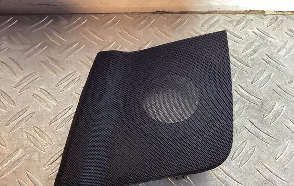 Toyota Land Cruiser (J200) Side speaker trim/cover 5540960020