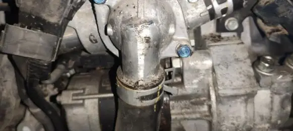 Honda Jazz Engine coolant pipe/hose