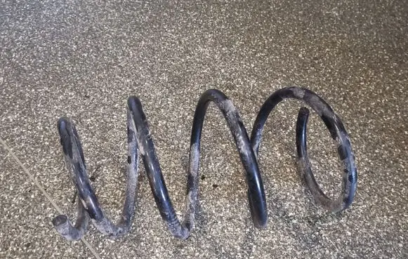 Front coil spring