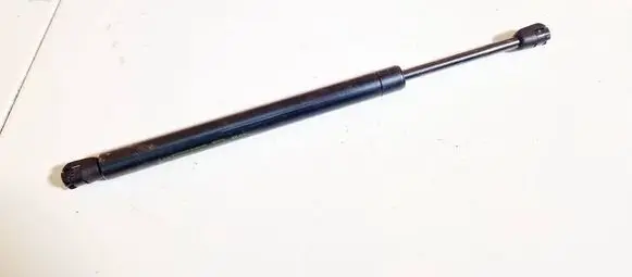 Tailgate/trunk strut/damper